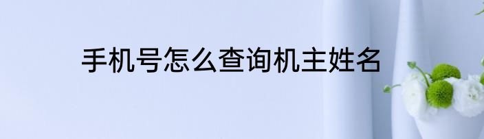 手机号怎么查询机主姓名
