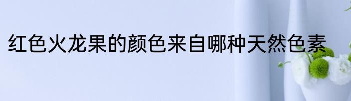 红色火龙果的颜色来自哪种天然色素