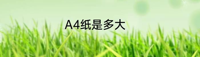 A4纸是多大