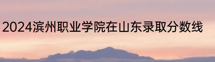2024滨州职业学院在山东录取分数线