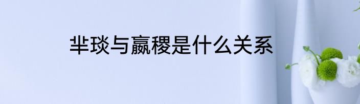 芈琰与嬴稷是什么关系