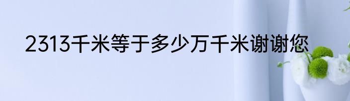 2313千米等于多少万千米谢谢您
