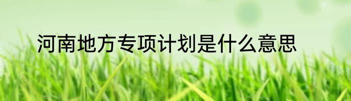 河南地方专项计划是什么意思