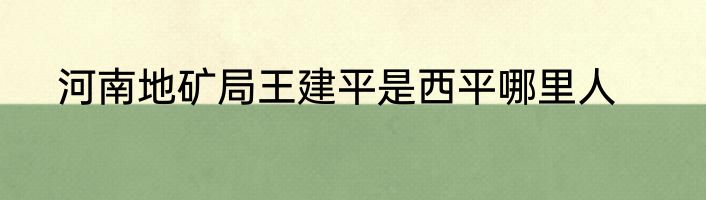 河南地矿局王建平是西平哪里人