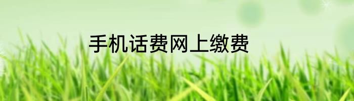 手机话费网上缴费