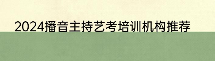 2024播音主持艺考培训机构推荐