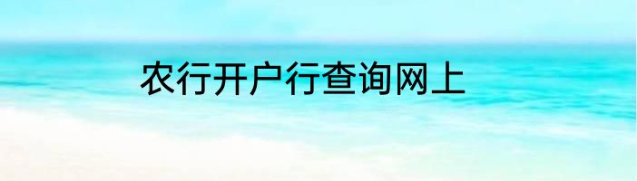 农行开户行查询网上
