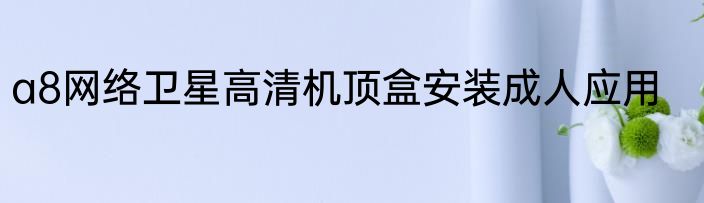 a8网络卫星高清机顶盒安装成人应用