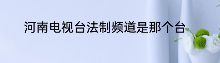 河南电视台法制频道是那个台