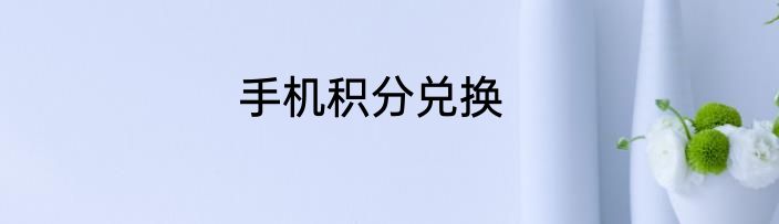 手机积分兑换