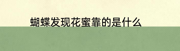 蝴蝶发现花蜜靠的是什么