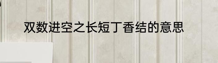 双数进空之长短丁香结的意思