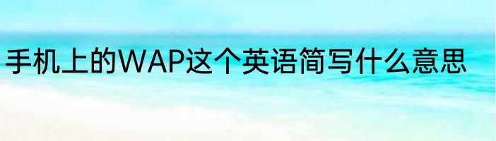 手机上的WAP这个英语简写什么意思