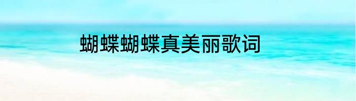 蝴蝶蝴蝶真美丽歌词