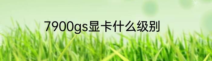 7900gs显卡什么级别