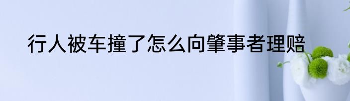 行人被车撞了怎么向肇事者理赔