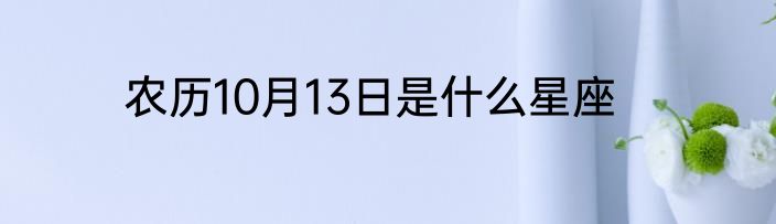 农历10月13日是什么星座