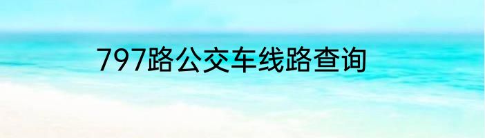 797路公交车线路查询