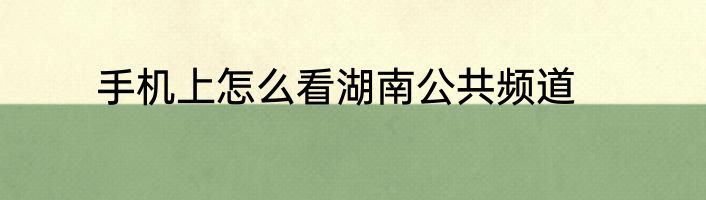 手机上怎么看湖南公共频道