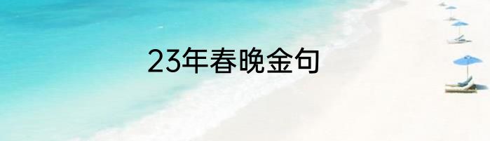 23年春晚金句