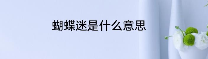 蝴蝶迷是什么意思