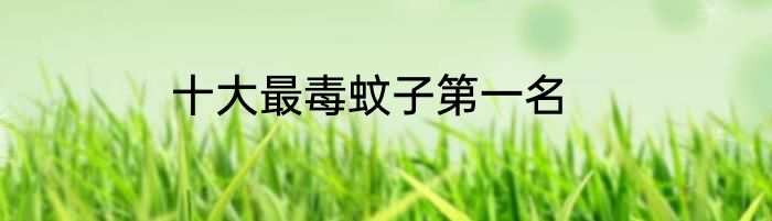 十大最毒蚊子第一名
