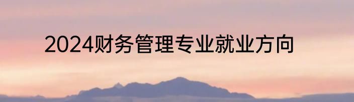 2024财务管理专业就业方向