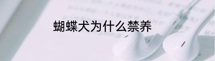 蝴蝶犬为什么禁养