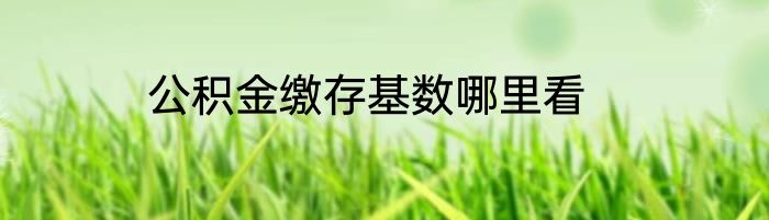 公积金缴存基数哪里看