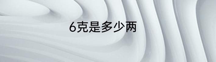 6克是多少两