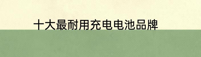 十大最耐用充电电池品牌