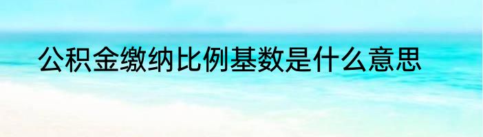 公积金缴纳比例基数是什么意思