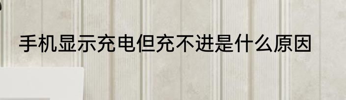 手机显示充电但充不进是什么原因
