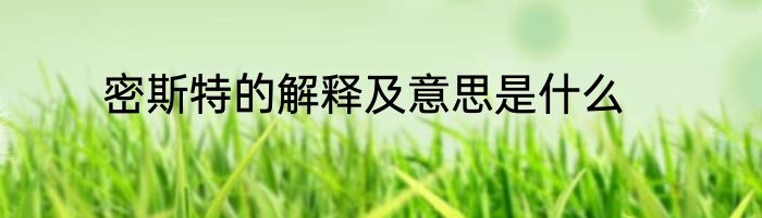 密斯特的解释及意思是什么