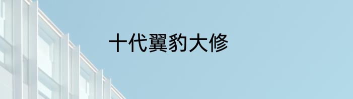 十代翼豹大修