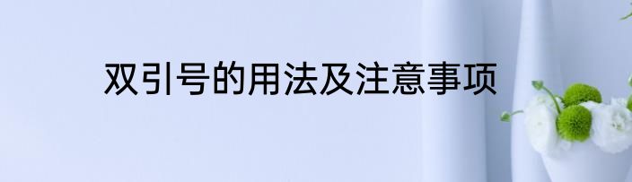双引号的用法及注意事项
