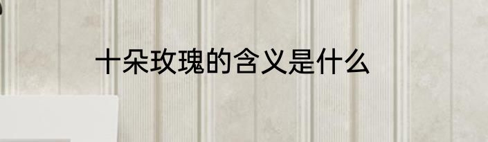 十朵玫瑰的含义是什么