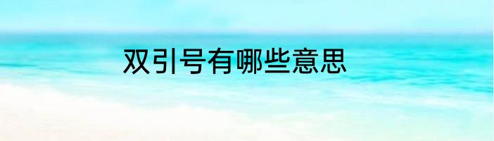 双引号有哪些意思
