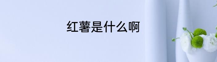 红薯是什么啊