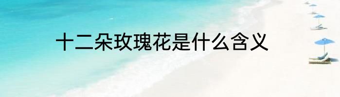 十二朵玫瑰花是什么含义