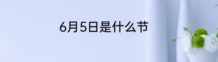 6月5日是什么节