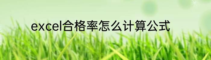 excel合格率怎么计算公式