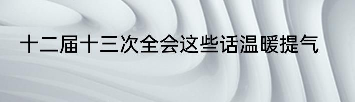 十二届十三次全会这些话温暖提气