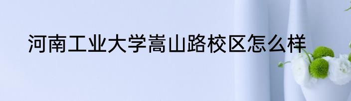 河南工业大学嵩山路校区怎么样