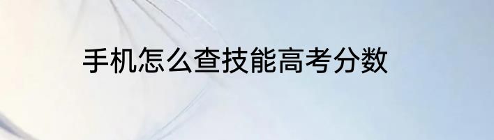 手机怎么查技能高考分数