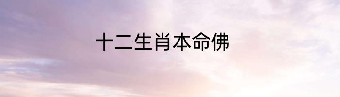 十二生肖本命佛