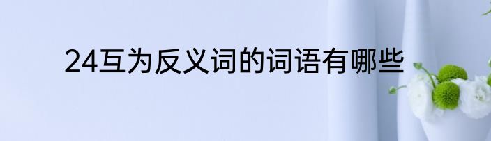 24互为反义词的词语有哪些