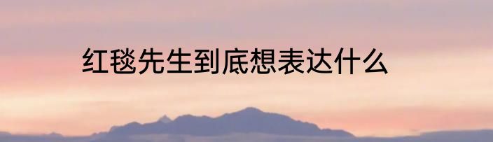 红毯先生到底想表达什么