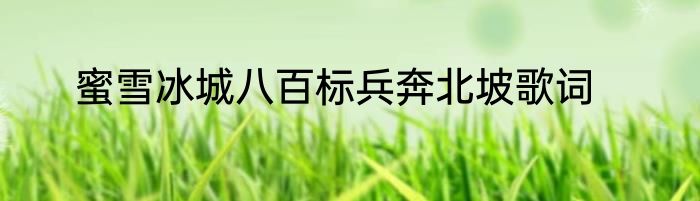 蜜雪冰城八百标兵奔北坡歌词