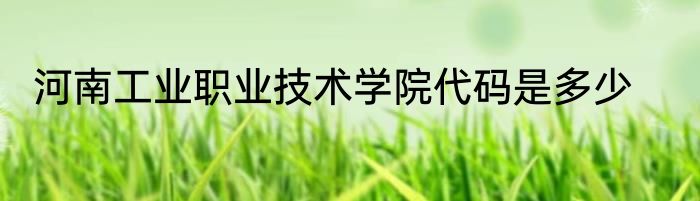 河南工业职业技术学院代码是多少